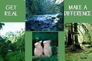 GET REAL ... MAKE A DIFFERENCE